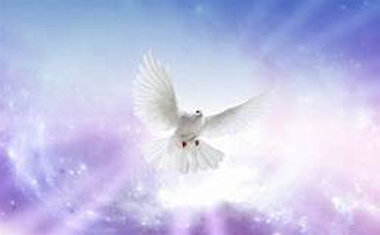 Grace