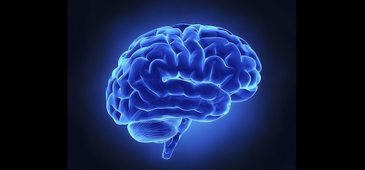 the blue brain