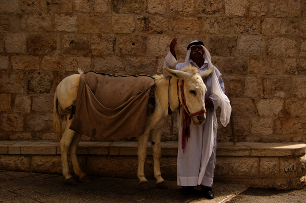 ass and Arab